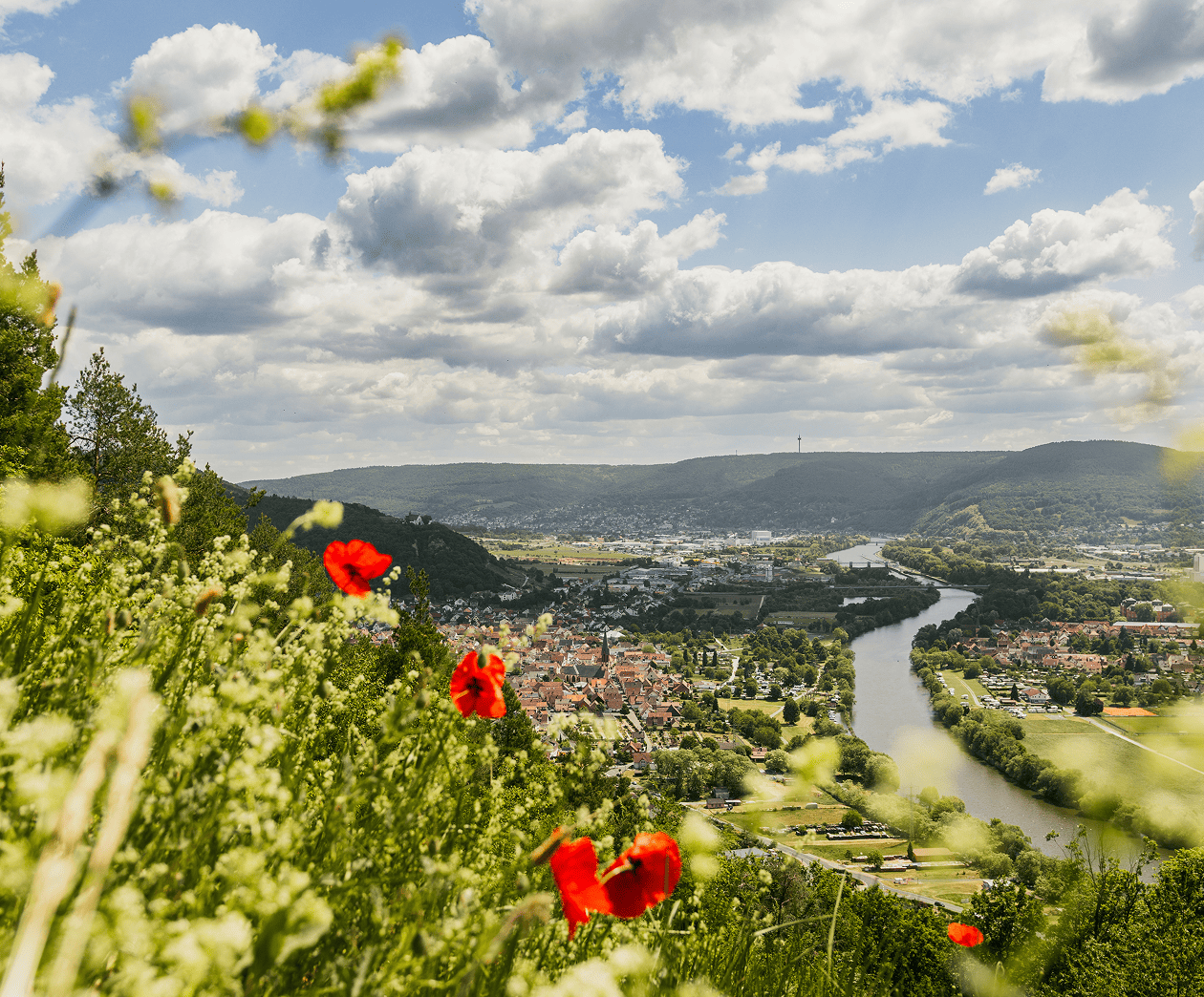 Landschaftsblick am Bayerischen Untermain mit Fluss und grünen Hügeln