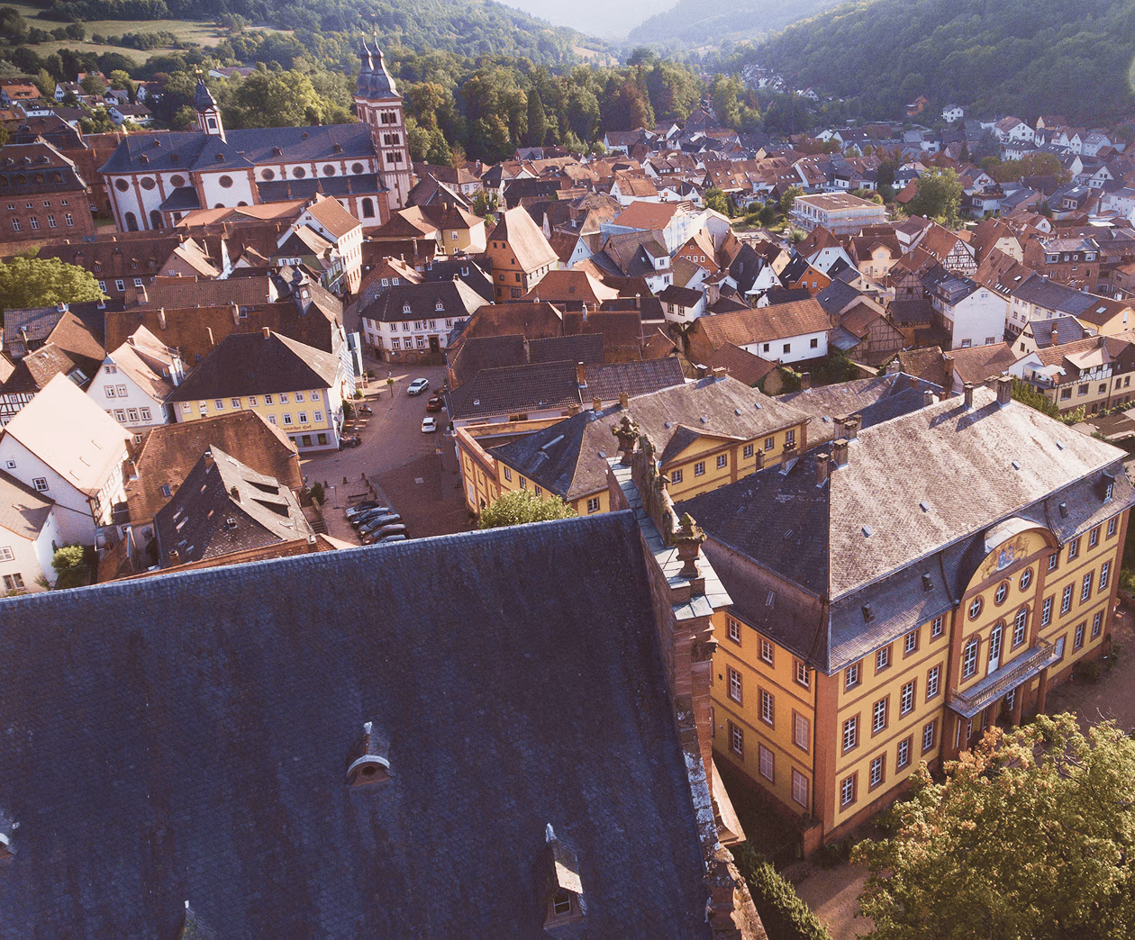 Blick über Dächer einer Stadt am Bayerischen Untermain