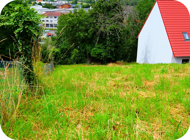 Grünes Grundstück mit Wiese und Bäumen