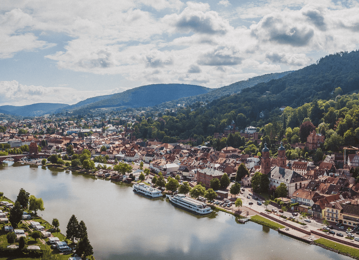 Panoramablick auf Miltenberg am Main mit Hügeln und Wolken