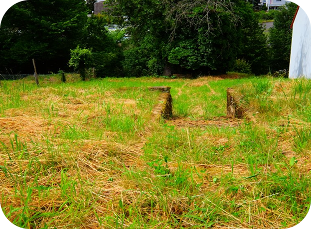 Grünes Baugrundstück mit Bäumen und Wiese