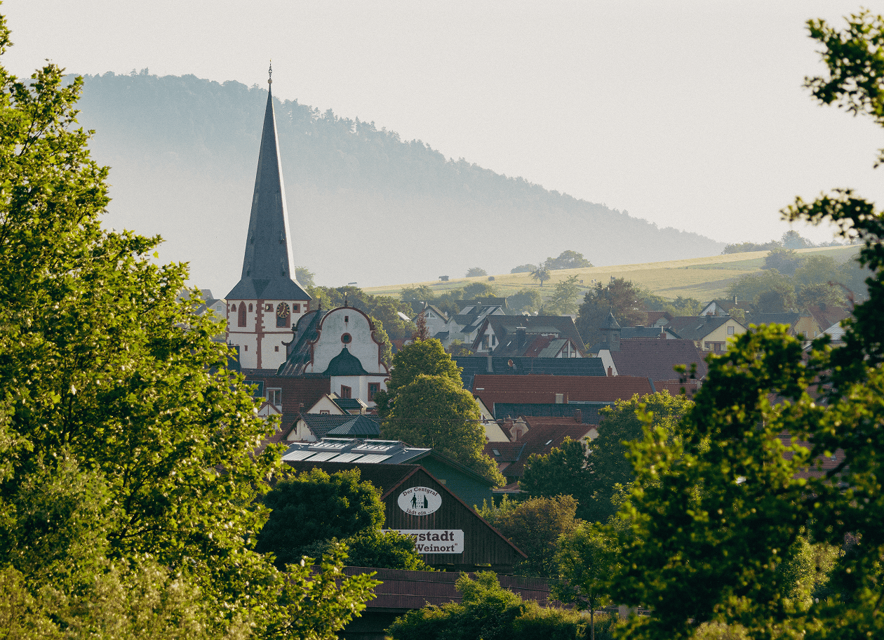 Blick auf Miltenberg mit Kirchturm und Hügeln im Hintergrund