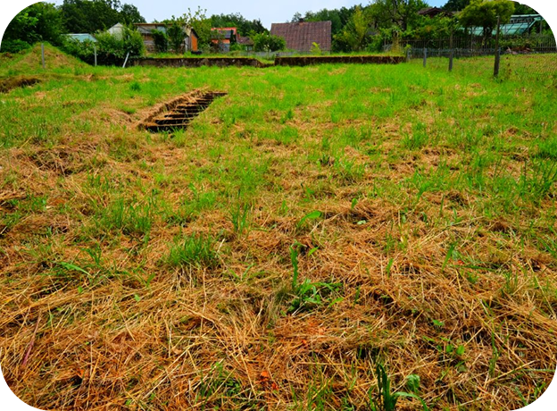Freies Grundstück mit Wiese und angrenzender Bebauung