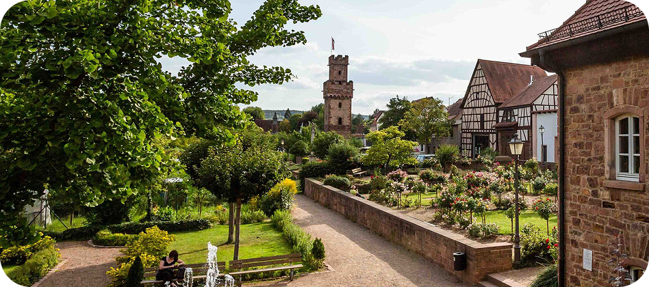 Blick auf Schloss Johannisburg in Aschaffenburg mit grüner Parkanlage