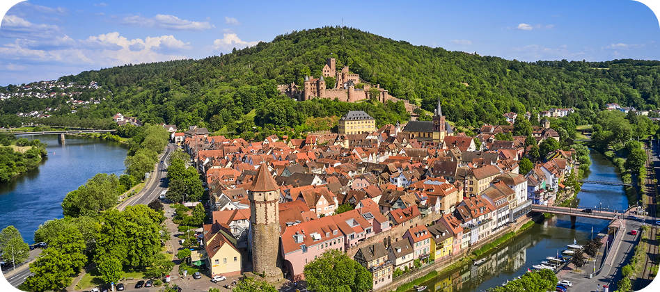 Blick auf Wertheim mit Burg auf einem bewaldeten Hügel