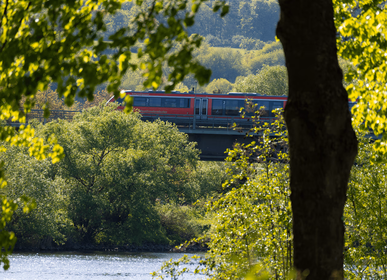 Zug fährt durch eine grüne Landschaft bei Wertheim