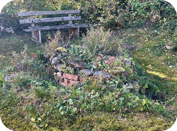 Wertheim-Garten